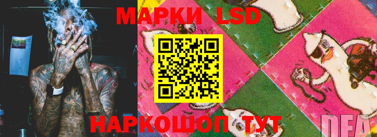 Наркотические марки  где можно купить наркотик  Вход с VPN  Камышлов  Марки N-bome 1,5мг 