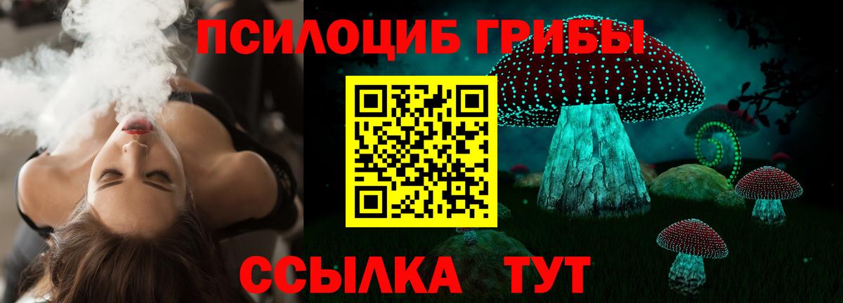 где купить наркоту  Псилоцибиновые грибы Magic Shrooms  Псилоцибиновые грибы GOLDEN TEACHER  Вход с VPN  Камышлов 