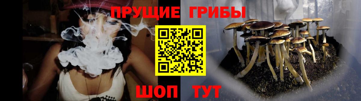 Галлюциногенные грибы Magic Shrooms Камышлов