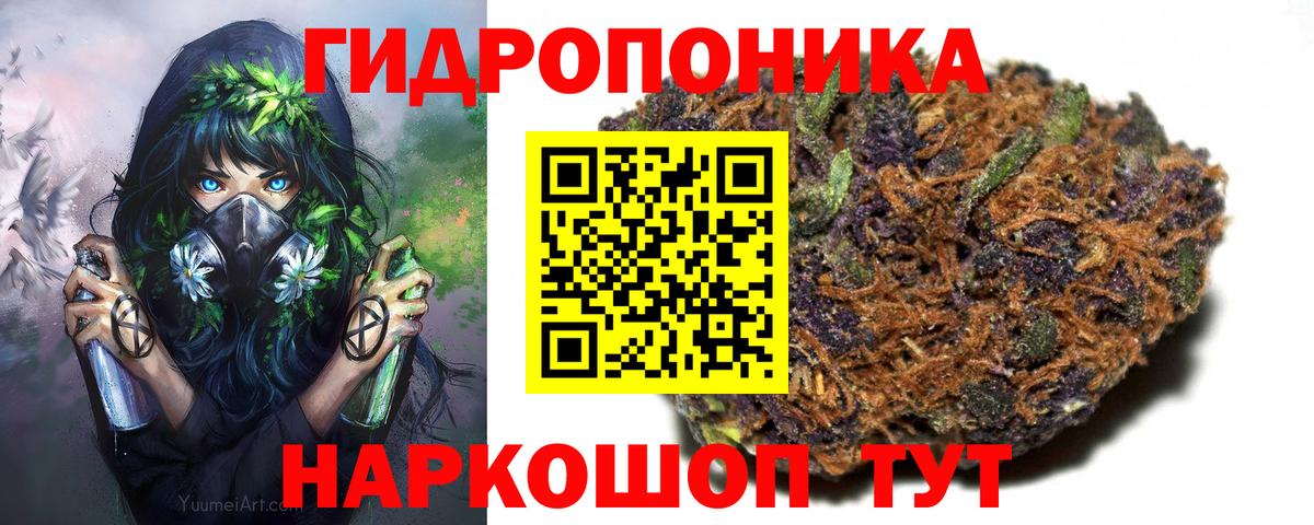 МАРИХУАНА ГИДРОПОН Камышлов