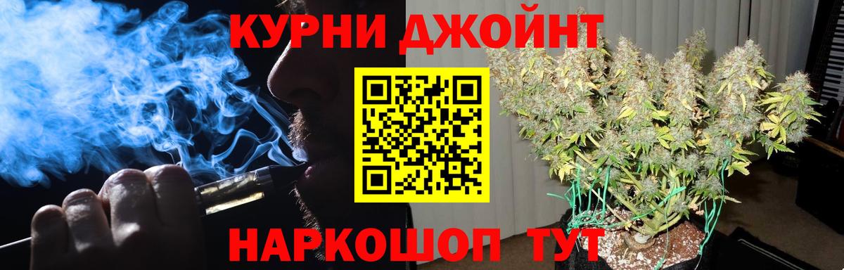Марихуана Amnesia  Конопля план  Вход с VPN  Камышлов  Бошки марихуана SATIVA & INDICA 